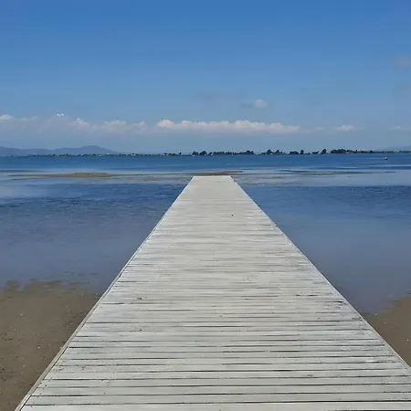 El Niu Delta